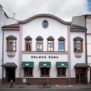 Zelená žába Pardubice